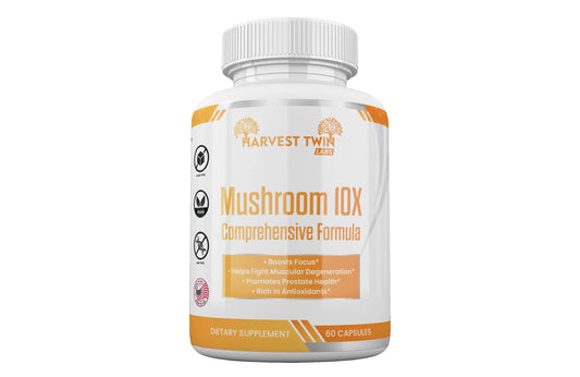 Mushroom 10X-0