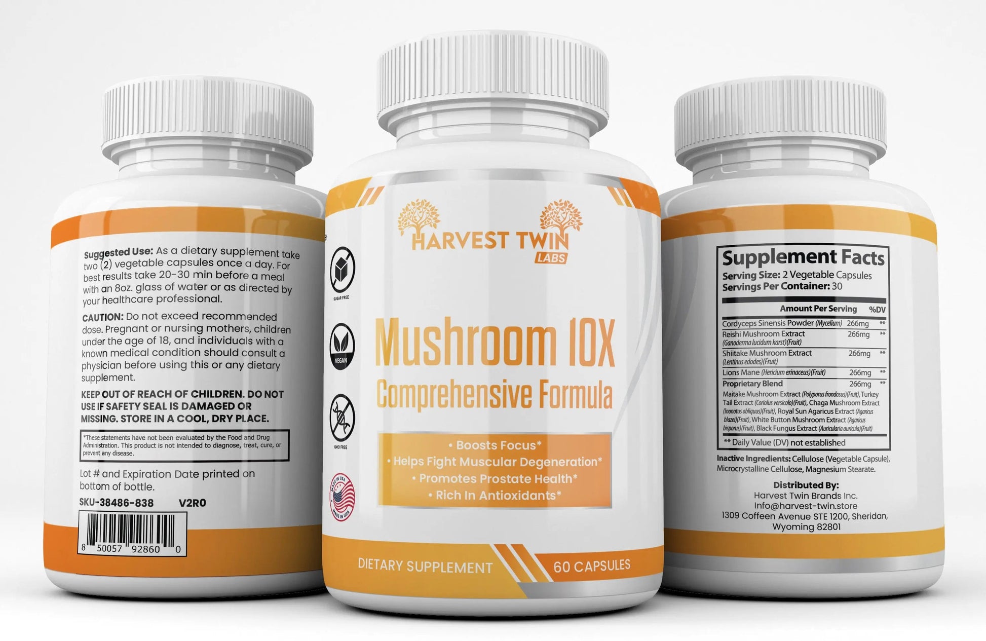 Mushroom 10X-1